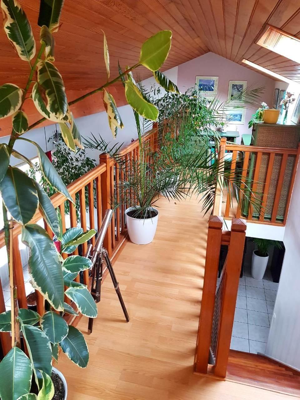 Longpont-sur-OrgeChez Maryna住宿加早餐旅馆 外观 照片